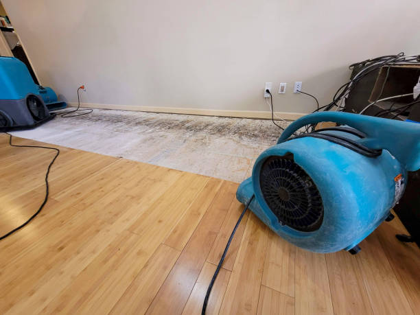 Professional Basement Flood Cleanup technician working in San Joaquin, CA